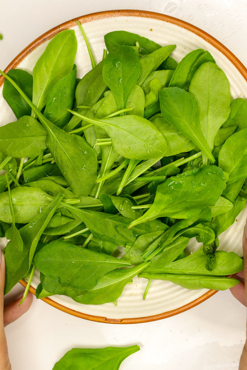 Baby Spinach