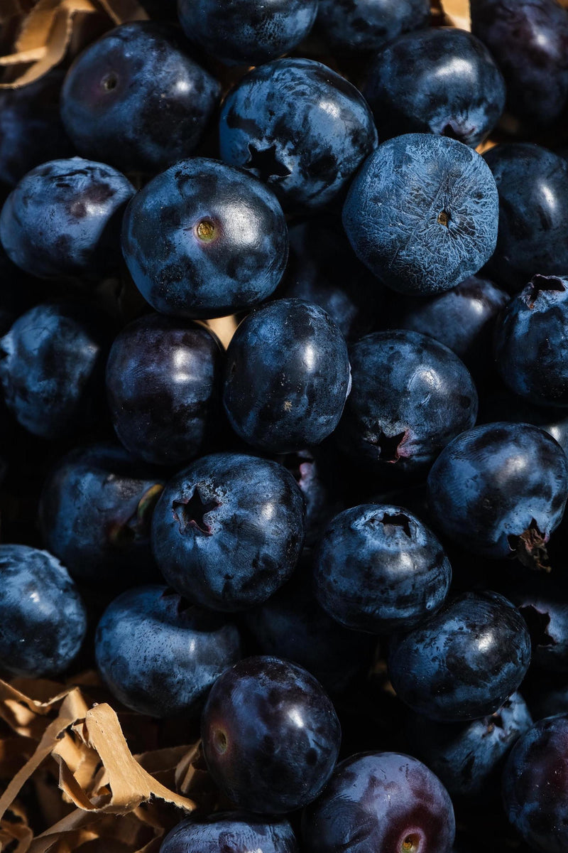 Blueberry