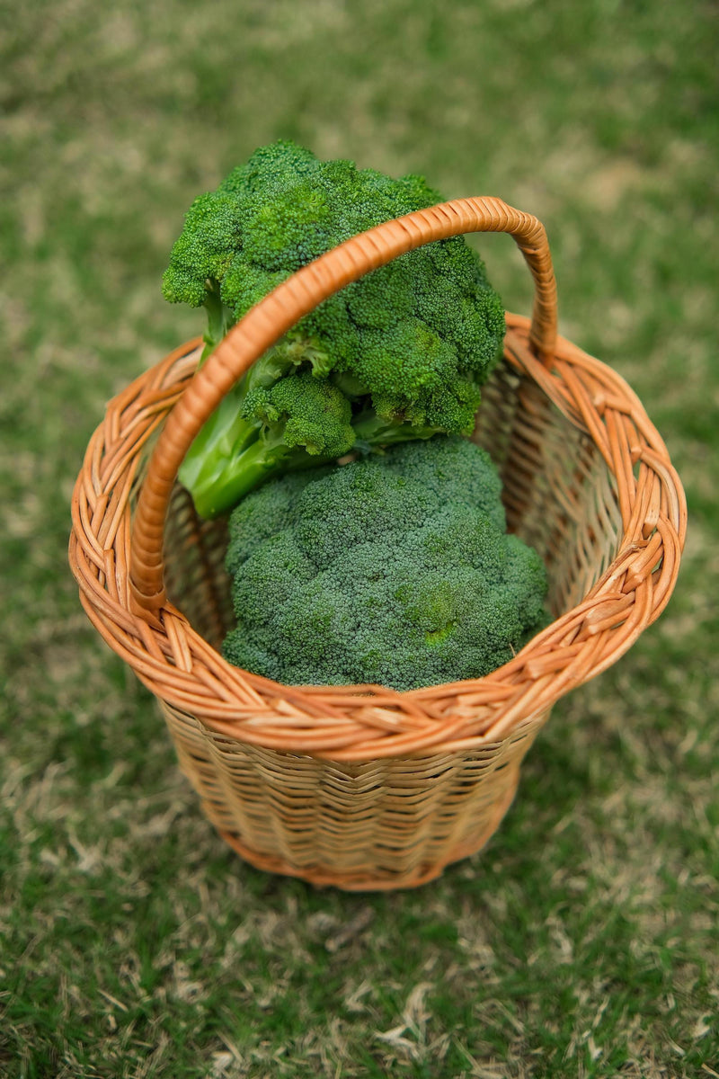 Broccoli