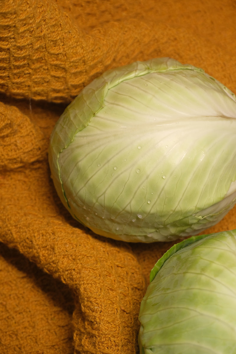 Cabbage