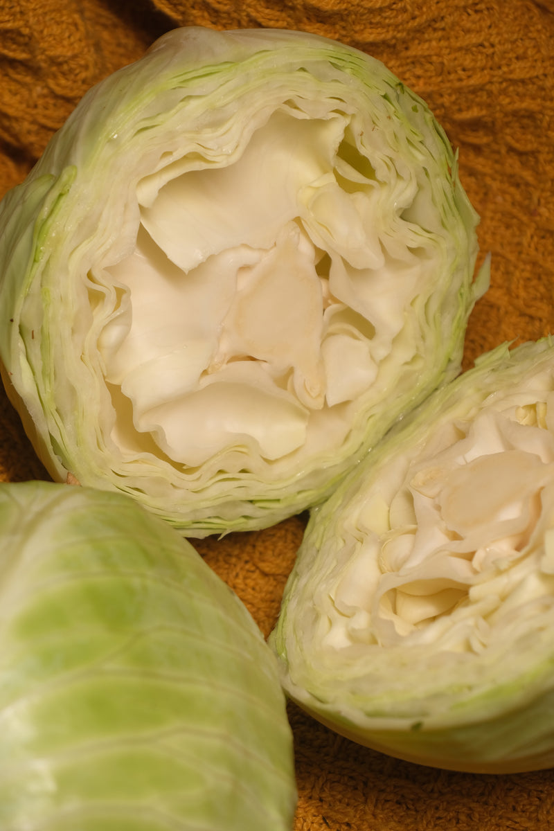 Cabbage