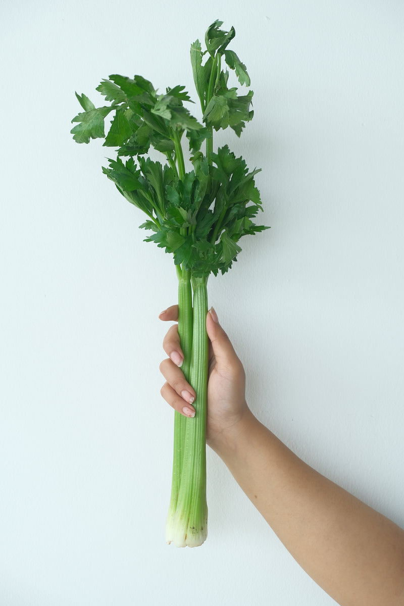 Celery