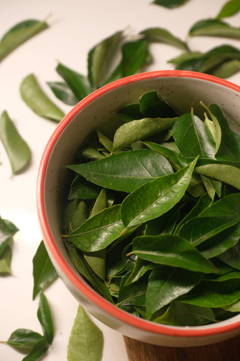 Curry Leaves