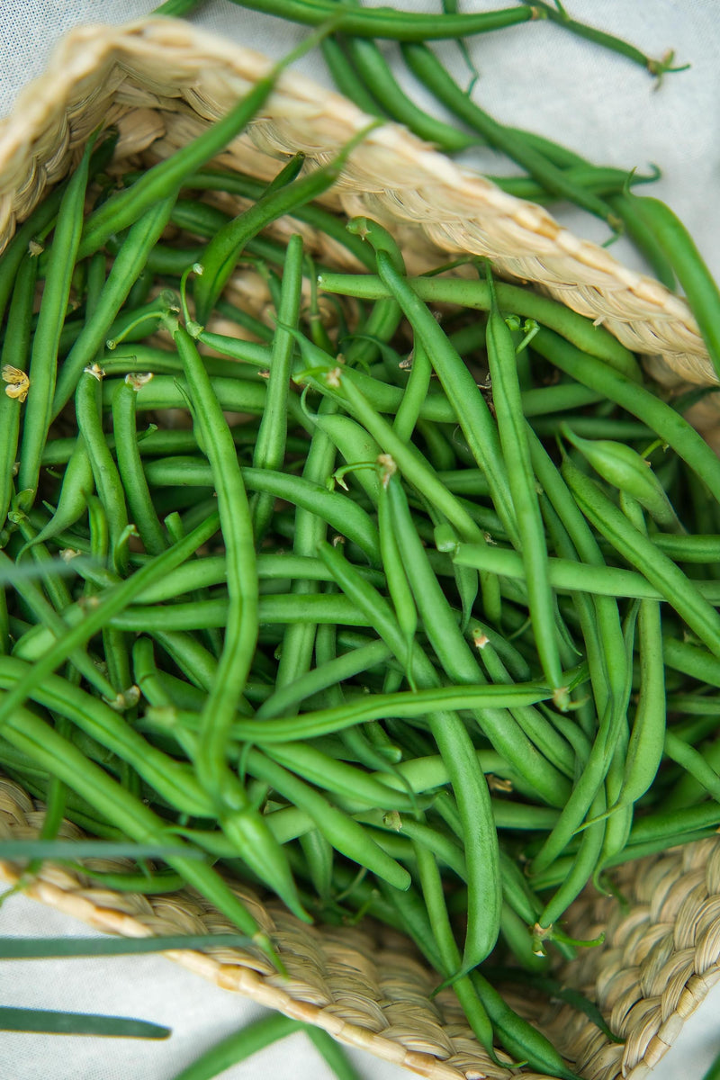 French Beans