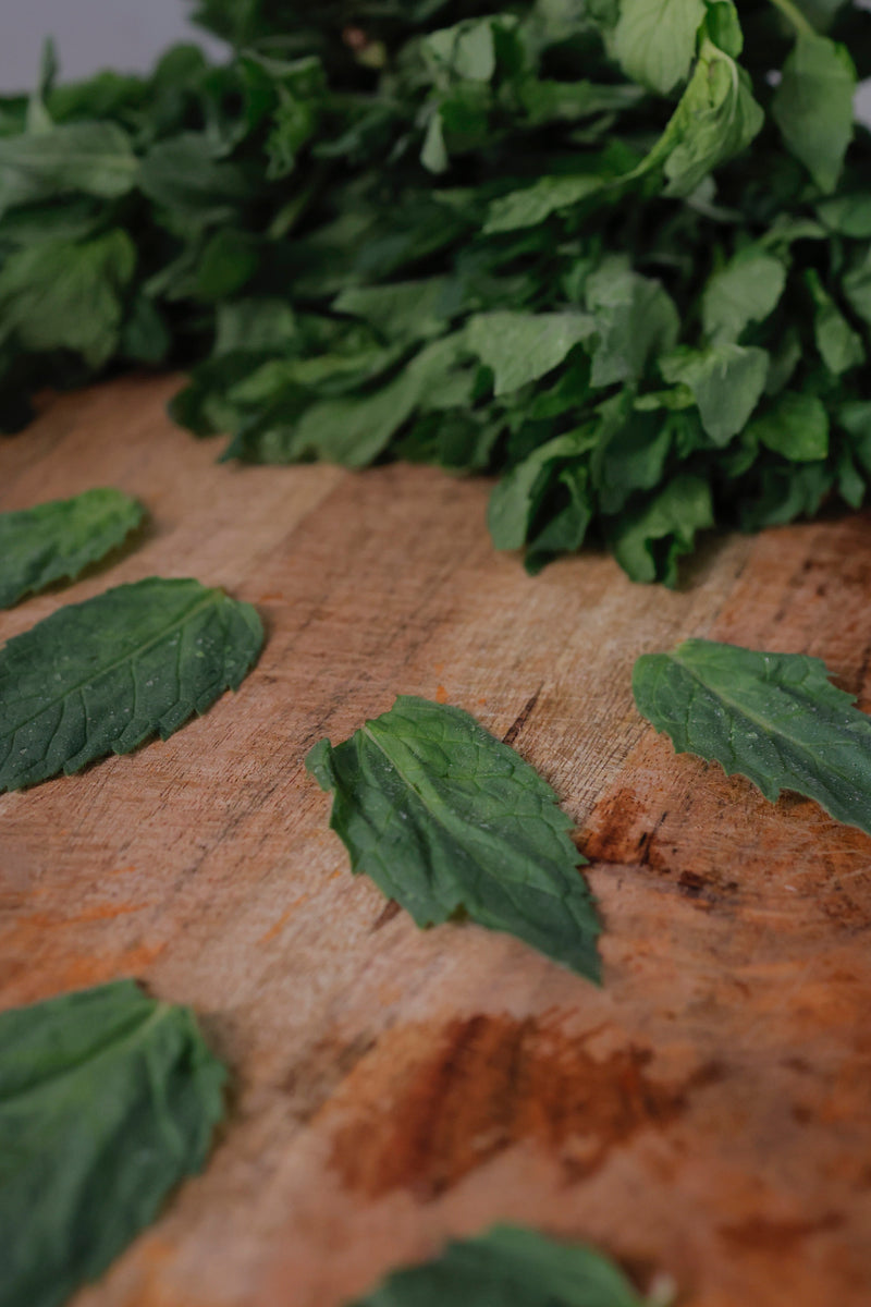 Hydroponic Mint