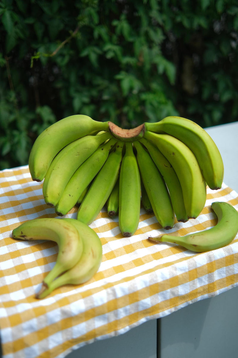 Loco Banana (Premium)