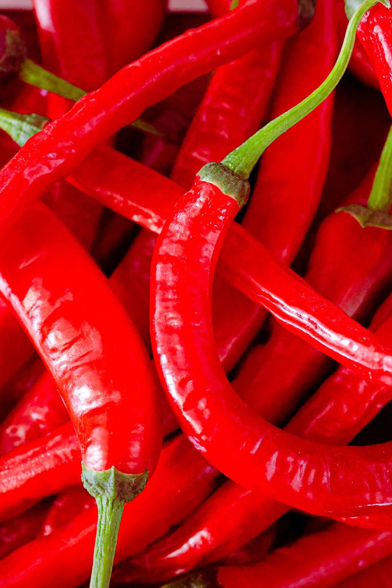 Red Chilli