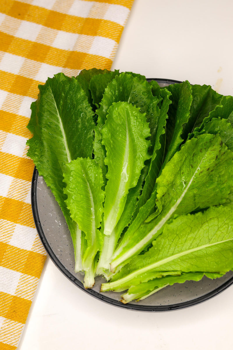 Romaine Lettuce