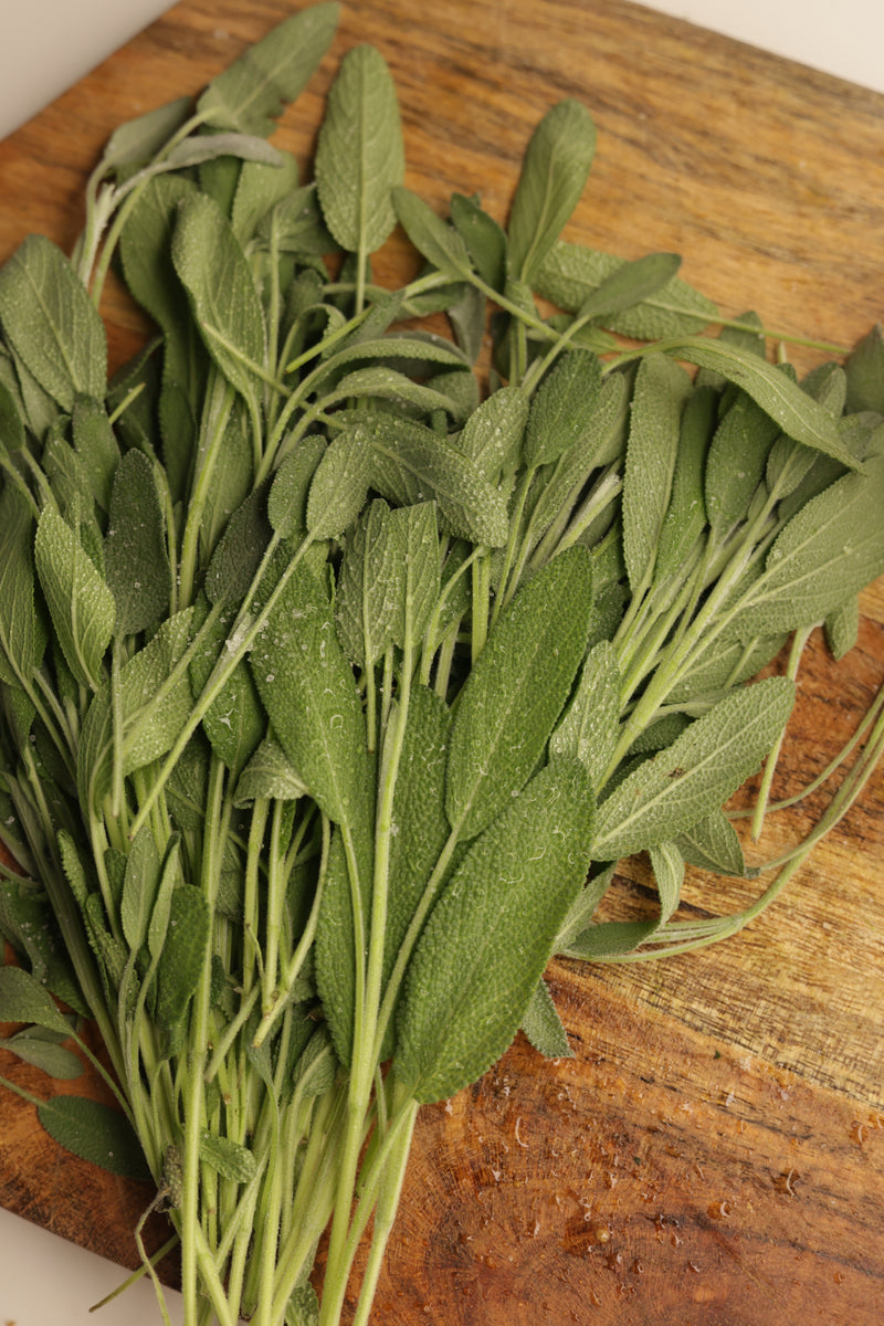 Sage