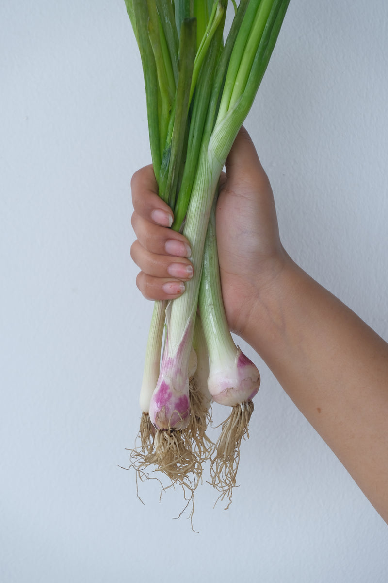Spring Onions