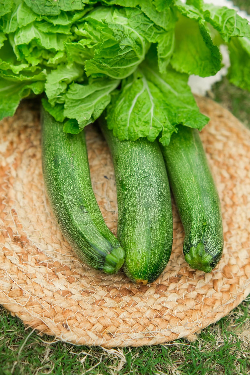 Zucchini Green