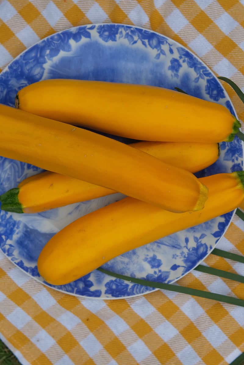 Zucchini Yellow